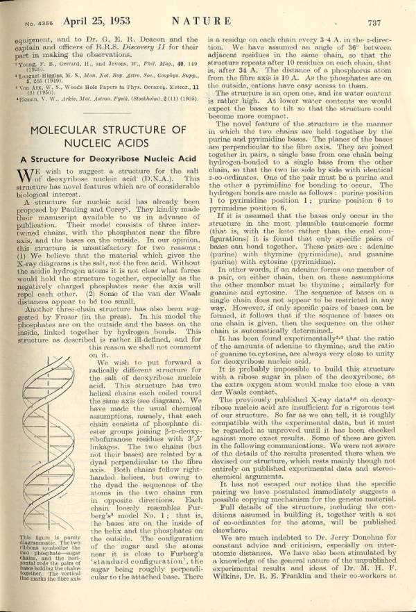 Original DNA Article Watson and Crick