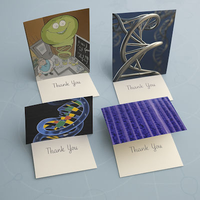 Thank You Cards