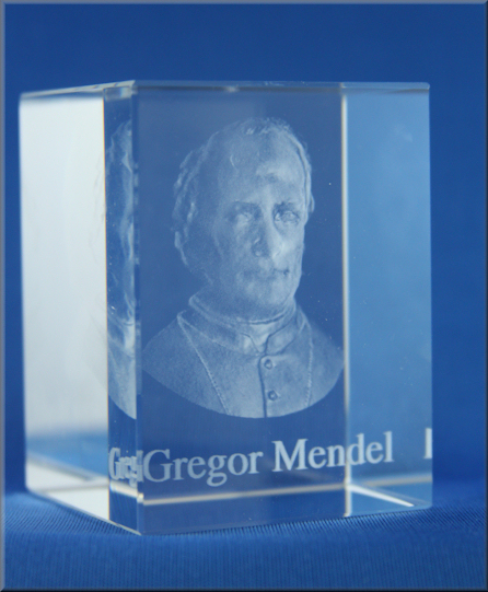 Gregor Mendel Cube