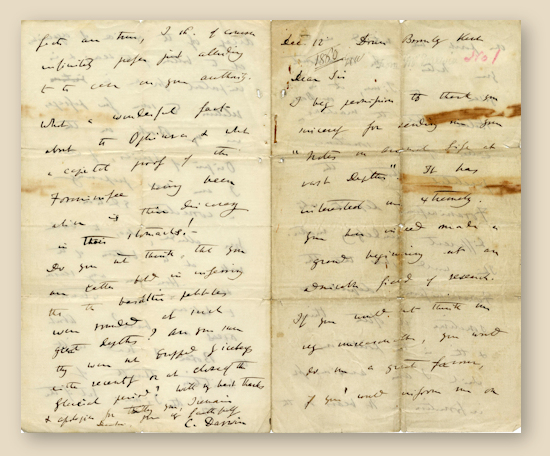 Darwin Letter