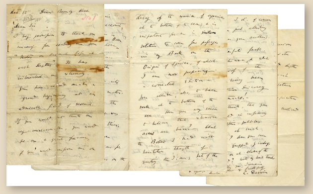 Darwin Letter