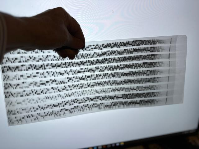 Gel Electrophoresis