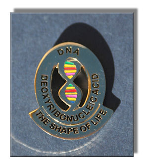 The Shape Of Life Pin