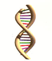 DNA Tattoo