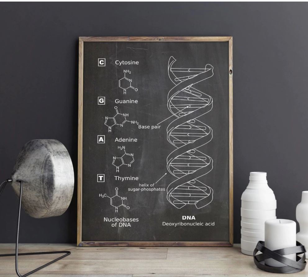 Blackboard DNA